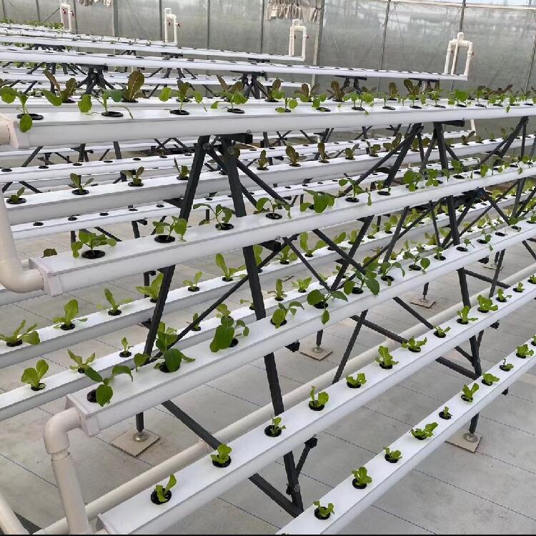 Single Span Agriculture Hydroponic Systems Greenhouse