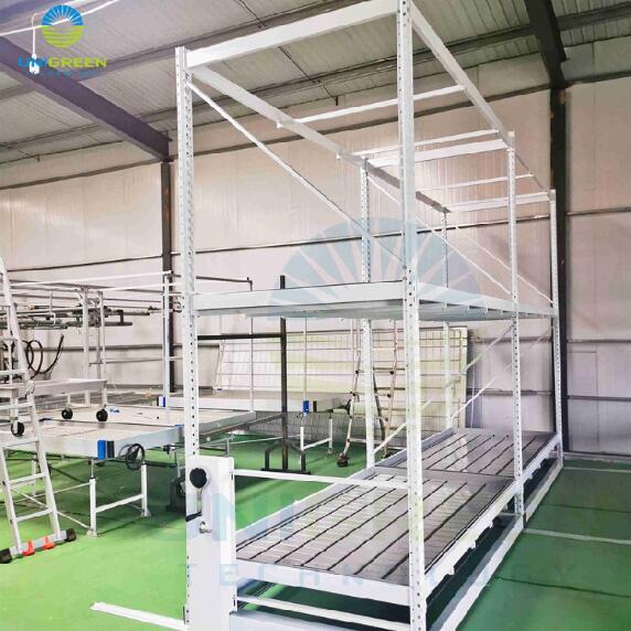Multi-layer Vertical Growing Rack Clone Rack Mobile Stationary Type For Indoor Hydroponic Growing System